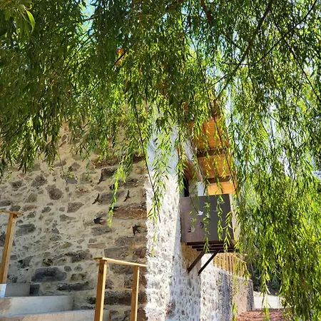 Xisto فيلة