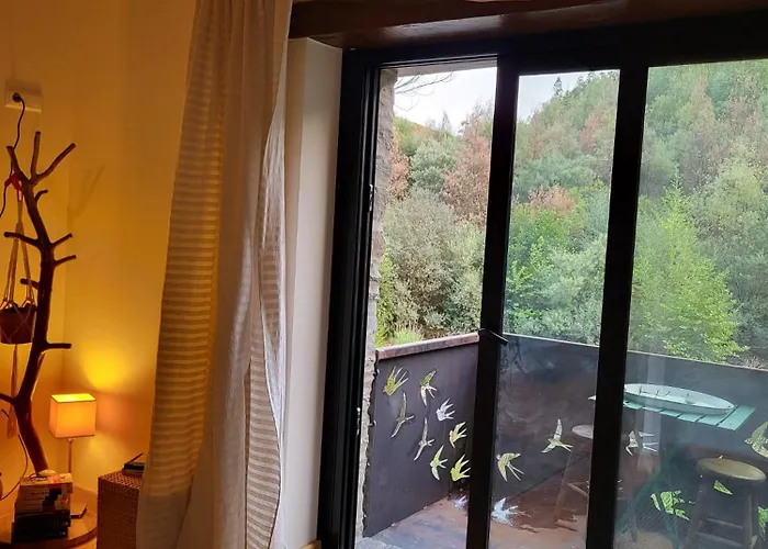 Xisto فيلة Semide