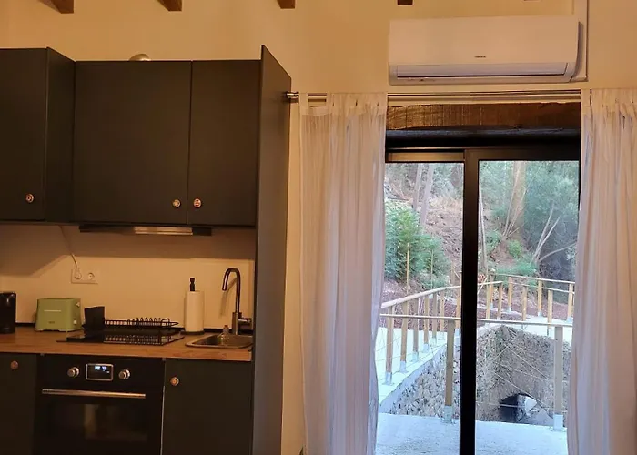 Xisto فيلة Semide